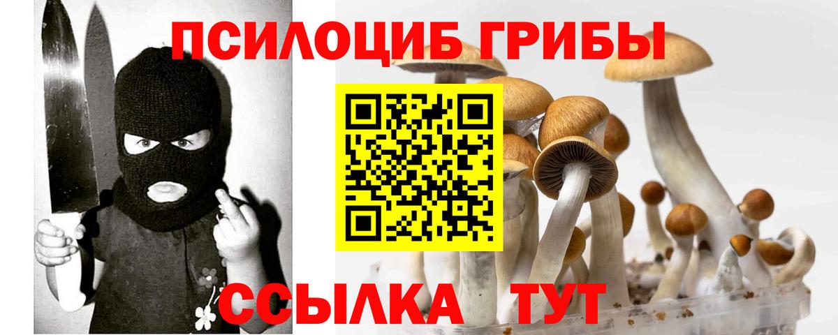 Чернушка  Галлюциногенные грибы MAGIC MUSHROOMS  как найти   Вход с VPN  Псилоцибиновые грибы MAGIC MUSHROOMS 